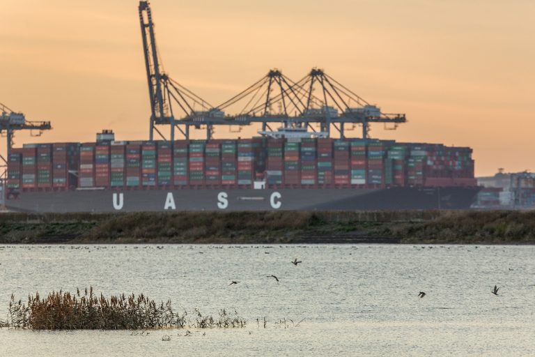 DP World London Gateway creates another new wildlife habitat on the River Thames