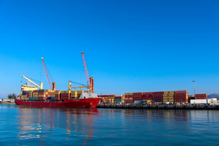 MSC launches new feeder service in ICTSI Georgia unit